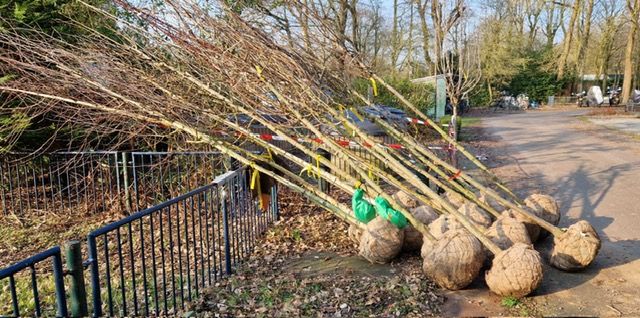 18 bomen planten | Tuinpark de Bretten | waar natuur en mensen elkaar  ontmoeten...